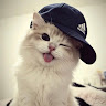 user_p54m08ezh93dvr4f member profile picture