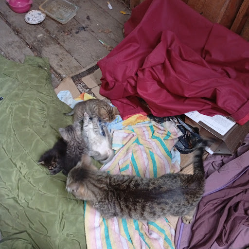 Арсений Кудрявцев