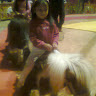 Created by