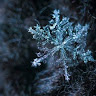 Frost Blazer