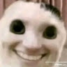 user_qo3br8se8ic56l0a member profile picture