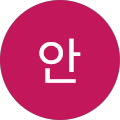 김안