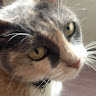 lilysaintasangel member profile picture
