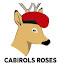 Cabirols Roses (Owner)