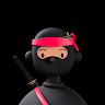 ninja alone