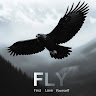 fly ༽