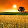 Created by