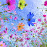 Created by