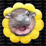 user_zant5pw2r0qwodxx member profile picture