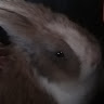 AdamJ profile
