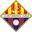 Handbol Gava (Owner)