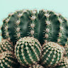 Created by