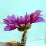 Jerold G.'s profile image