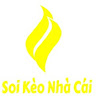 Soi Kèo Nhà Cái 0