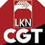 CGT-LKN Bizkaia (Owner)