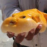 Queso Pez
