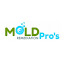 Mold Remediation Pros Brainerd (Owner)