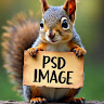 PSD IMAGE