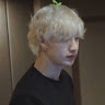 Y/n