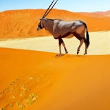 用戶: Harrison Mamagase