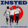 Insted HC