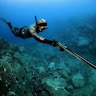 Mark Asaev's photo