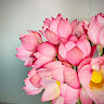 Trang Le