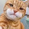 user_qsy1u6k5sa85muwt member profile picture