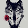 Erge Wolf