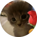 Avatar de Bilal.Z