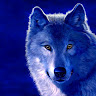 luisangeles66296's Avatar