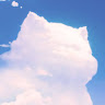 user-image