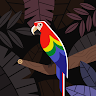 Jay