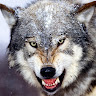 dmitriy chernyak's photo