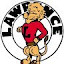 LHS Lions Soccer (Owner)