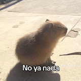 用户: Deyvis Rocha