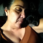 Használó: Juan Rangel