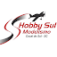 Hobby Sul Modelismo (Owner)