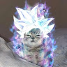 user_ou75tk9zq3ts3dfi member profile picture