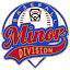 VLL Minor League Director (Owner)