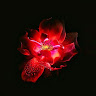 Created by