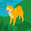 Chien77
