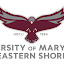 UMES Webmaster (Owner)