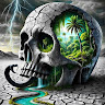 user_0iszd368on5dfk3u member profile picture