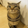 Garanggati Gar