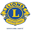 Strasbourg Cathédrale Lions Club International (Owner)