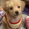 Kaiii Imuppp