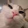 Renna