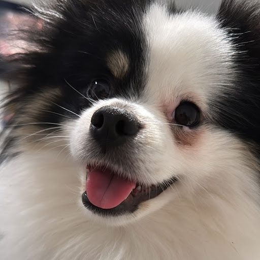 Bri