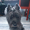 View user_4ut27tne28mitcau's Profile